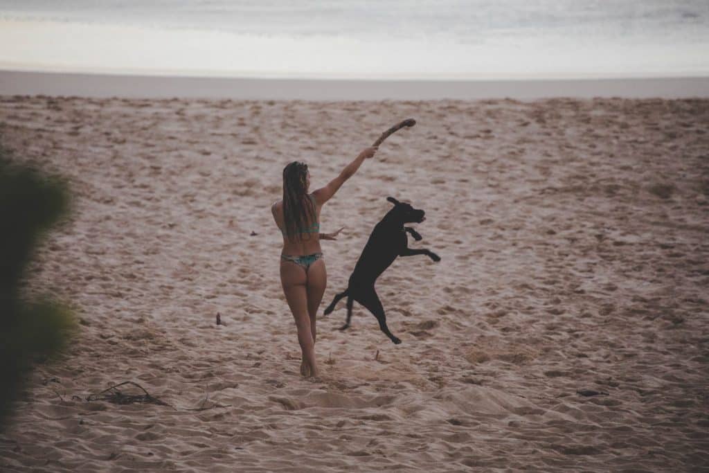 woman in blue bikini walking on brown sand beach during daytime
